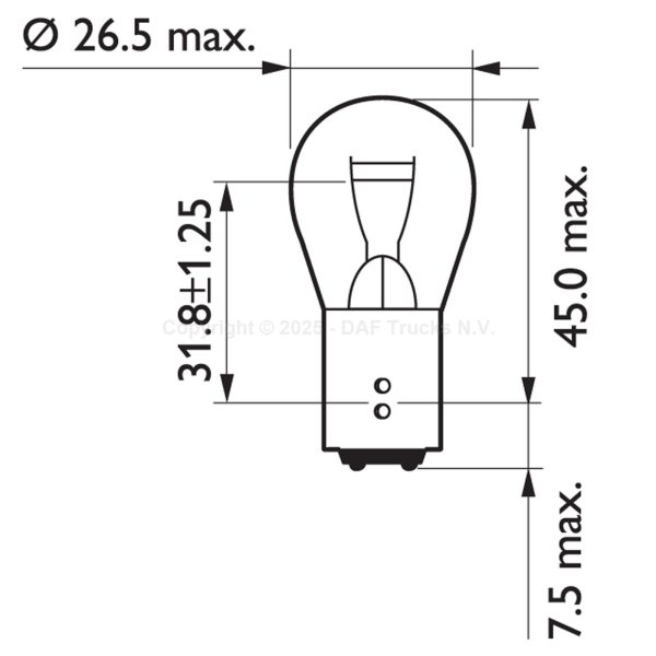 Bulb Dual - 1528530